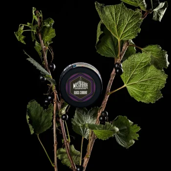 MustHave Black Currant 250 Gr