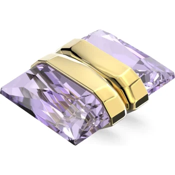Swarovski SW5613561 Gold Earring