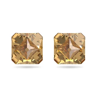 Swarovski SW5613680 Gold Earring