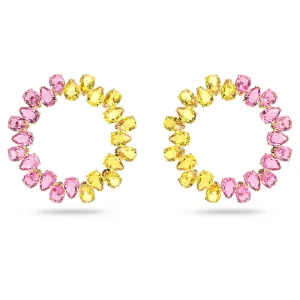 Swarovski SW5615619 Color Novelties Earring