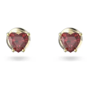 Swarovski SW5639133 Gold Earring