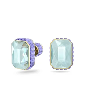 Swarovski SW5641406 Colourful Earring