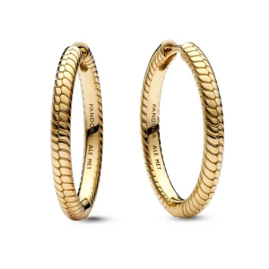 Pandora 269532c00 Gold Shine Collection Earring