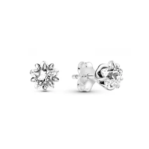 Pandora 290023c01 Silver Earring