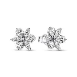 Pandora 292633c01 Silver Earring