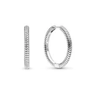 Pandora 299532c00 Silver Earring