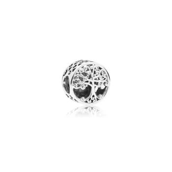 Pandora 797590 Silver Charm