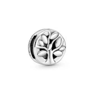 Pandora 797779 Silver Reflexions Collection Charm