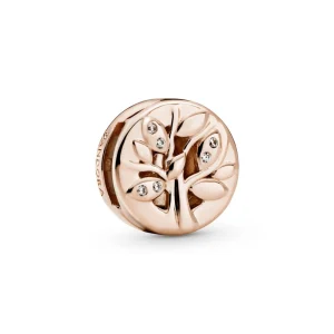 Pandora 788822c01 Rose Gold Reflexions Collection Charm