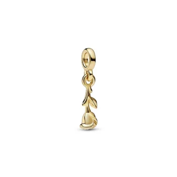 Pandora 762467c00 Gold Me Collection Charm