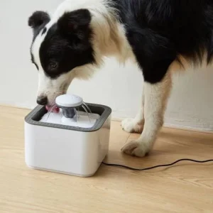 Pet Water Fountain 2.5Lt - Usb Powered
