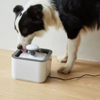 Pet Water Fountain 2.5Lt - Usb Powered