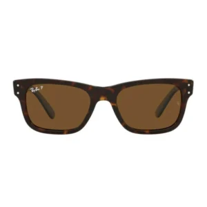 Rayban RB2283 902/57 55 Brown Sunglasses