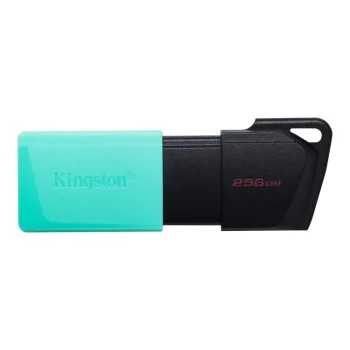 Kingston 256gb Usb 3.2 Gen1 Data Traveler Dtxm/256GB Usb Memory