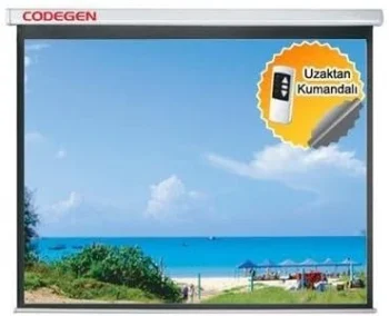 Codegen Ex-20 200x200 Motorized Projection Screen