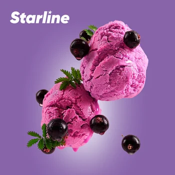 Starline Blackcurrant Sorbet 250 Gr